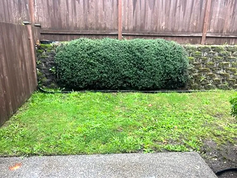 1008 Sunset Blvd NE #B — Photo 24