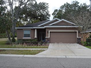 8611 Olive Moss Ct, Riverview, FL 33569