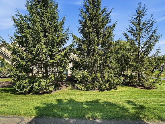 5th image of 557 Ruttington Ln