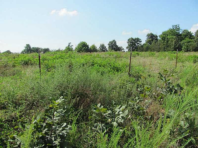 2nd image of Timlake Rd