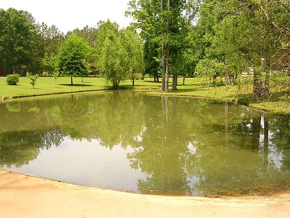 20' deep fishing pond