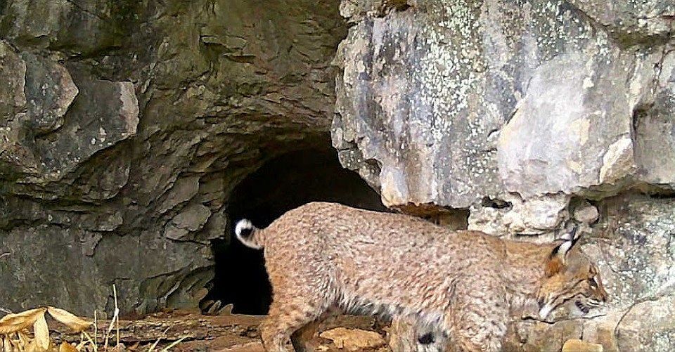 91st image of this home