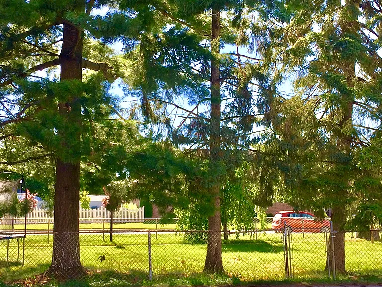 View in backyard.