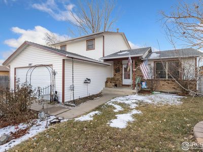 1000 Hemlock Dr, Windsor, CO, 80550