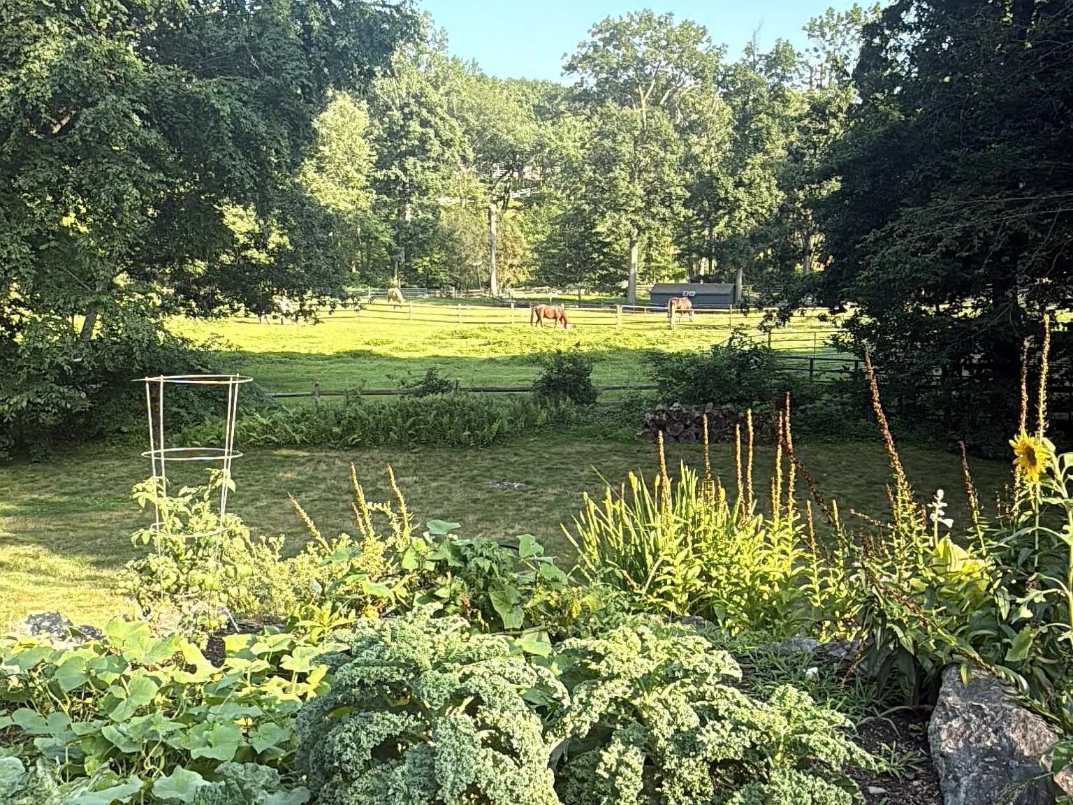 E Common Rd, Easton — Photo 1