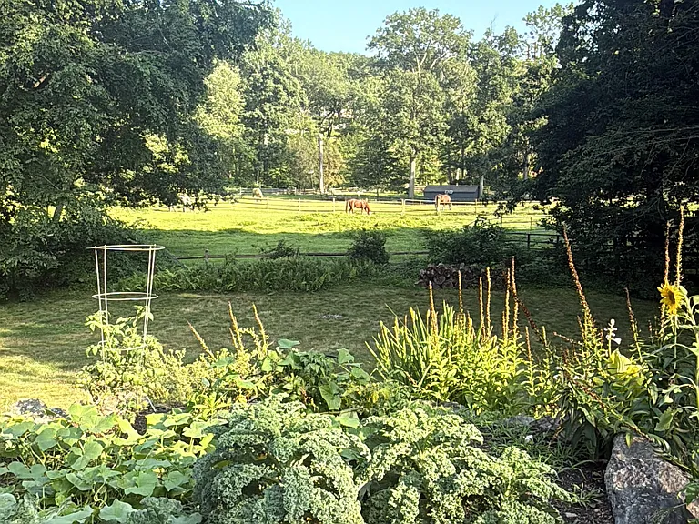E Common Rd — Photo 1