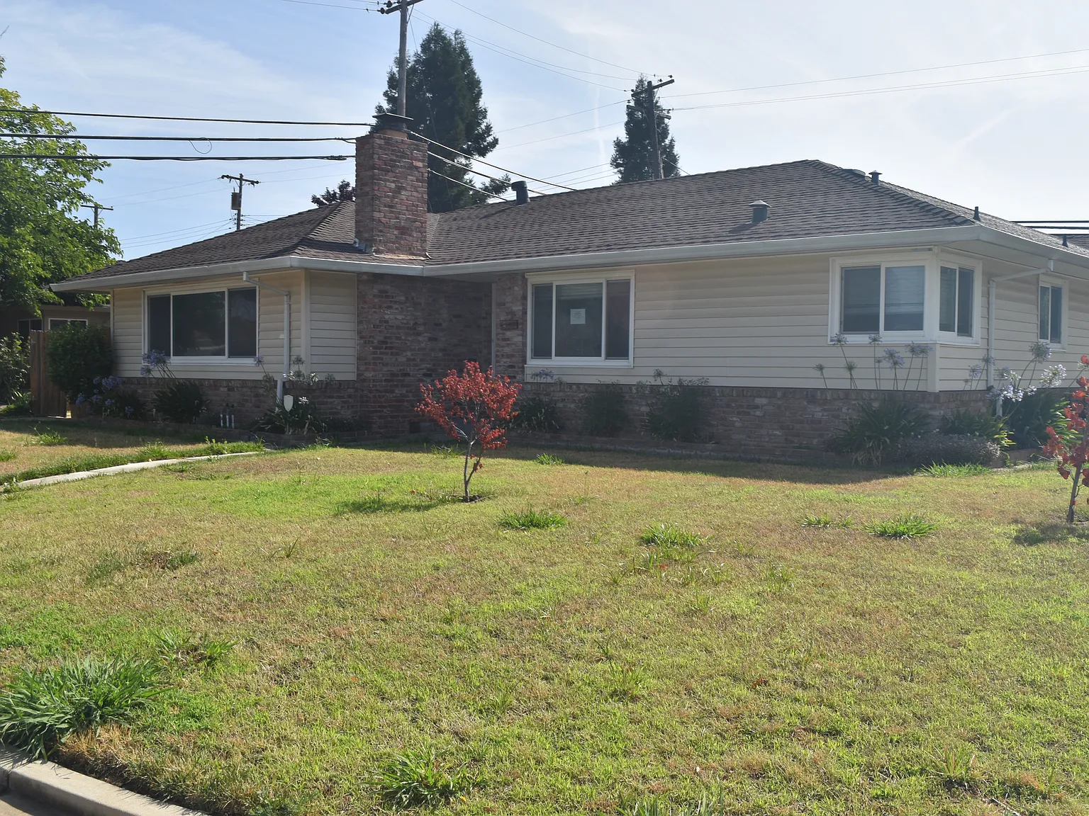1 bed, 300 sqft, $1,950 — Photo 2