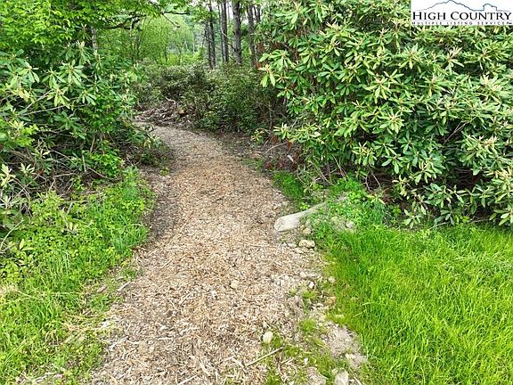 2nd image of 1764 Ripshin Mountain Road
