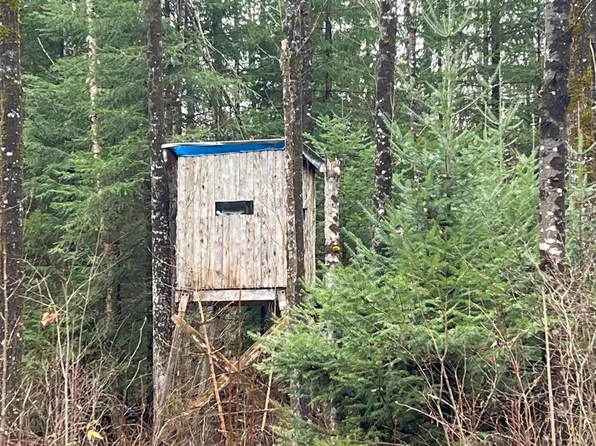 W M 48, Pickford, MI 49774