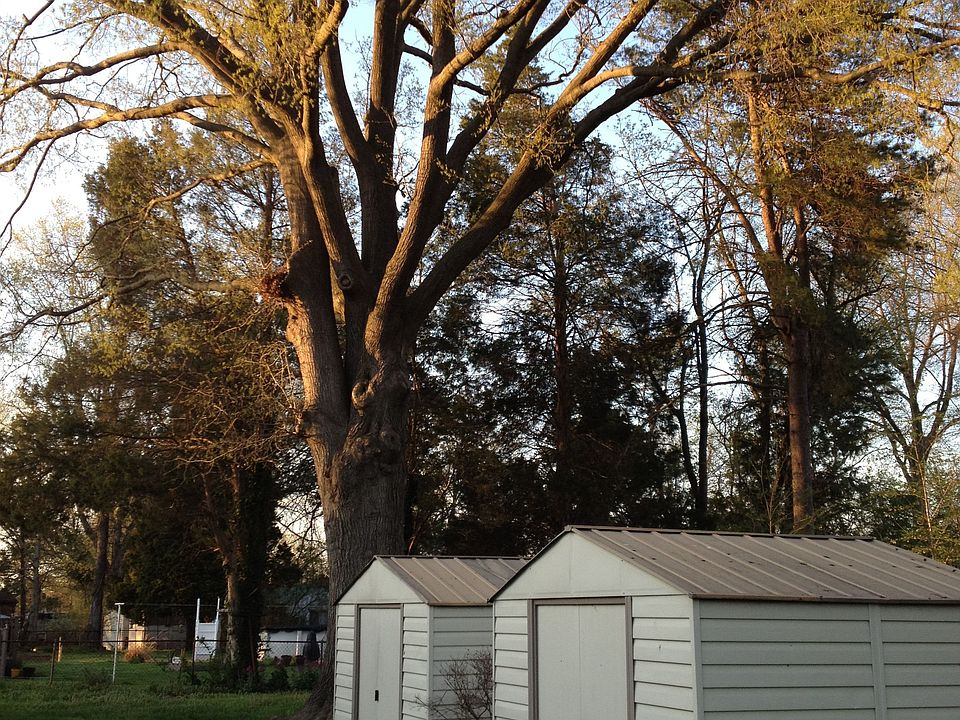 2nd image of 8825 Cooper Rd