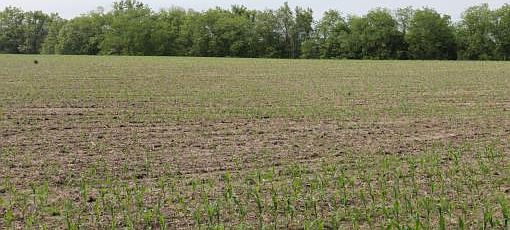 5th image of 8003 State Road J