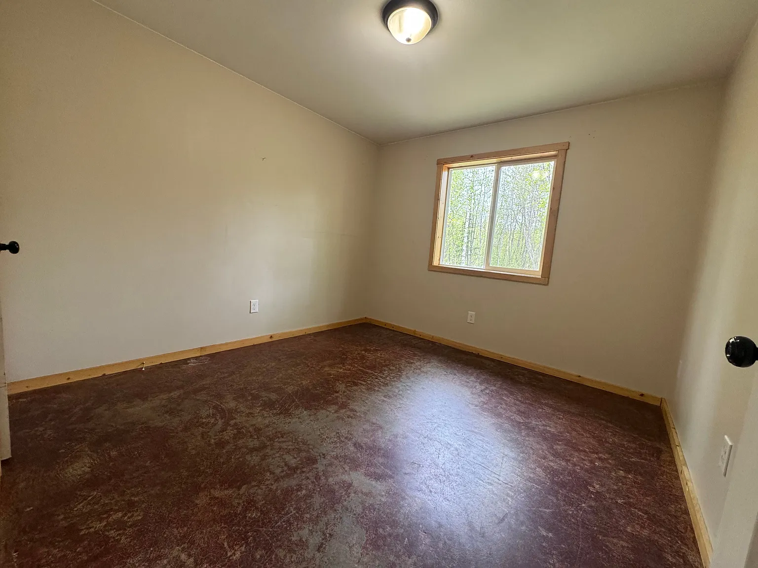 2 bed, 1.0 bath, $1,650 — Photo 4