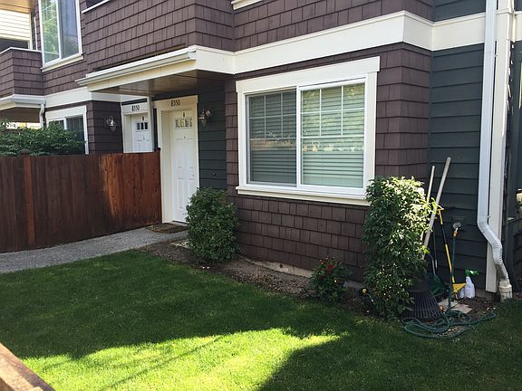 Front yard - new sod laid last summer