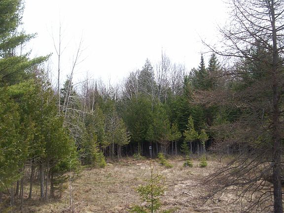 2nd image of 1040 State Highway M149