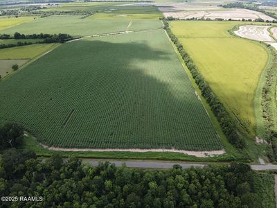 Dalton Rd, Kaplan, LA, 70548