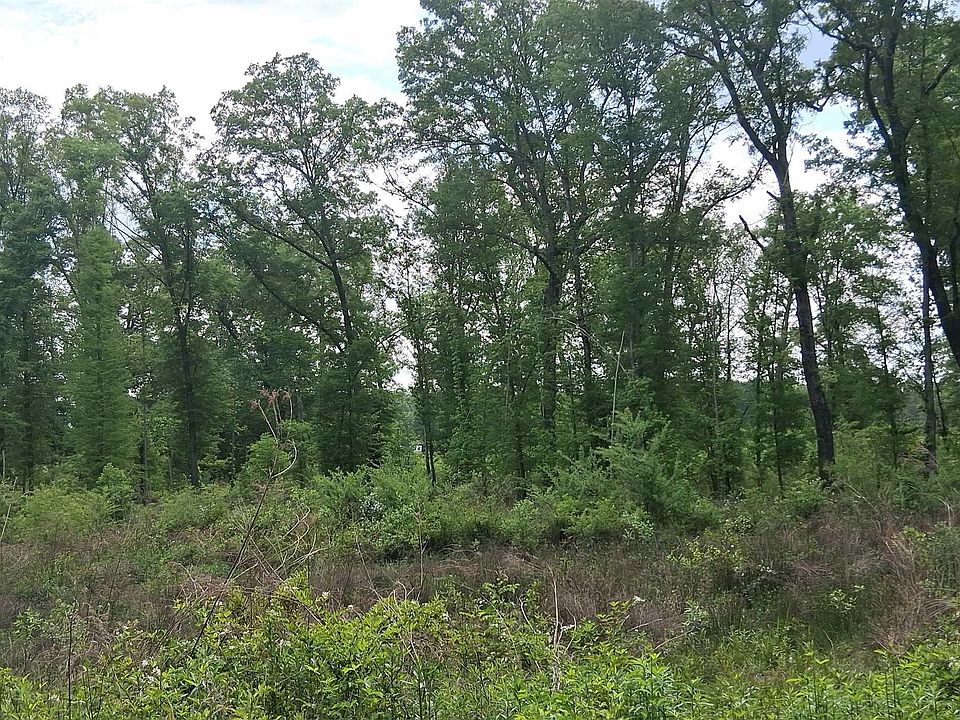 2nd image of Cass County Rd #2925