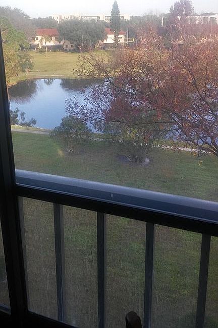 view from balcony
