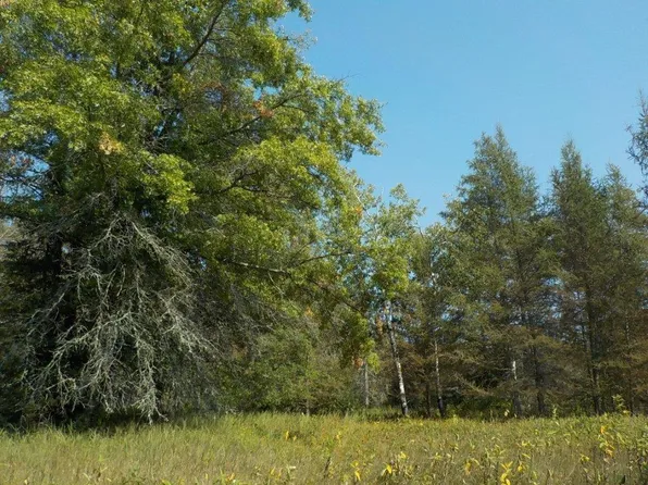 0 Hwy H, Webster, WI 54893