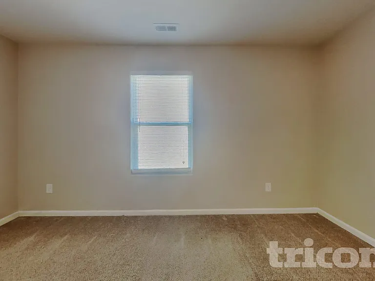 4217 Piedmont Farms Way — Photo 9