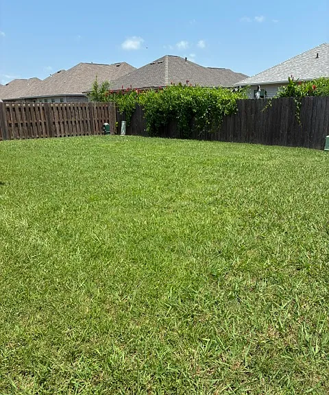1115 Eli Conner Dr — Photo 11