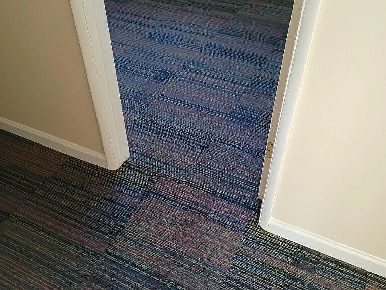420 Lee St #1 — Photo 12