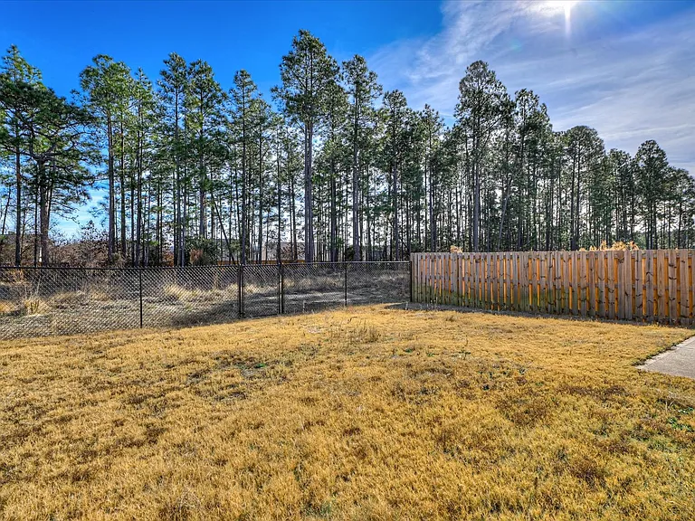 2892 Calli Crossing Dr — Photo 37