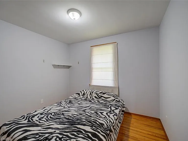 56 Avondale St — Photo 23