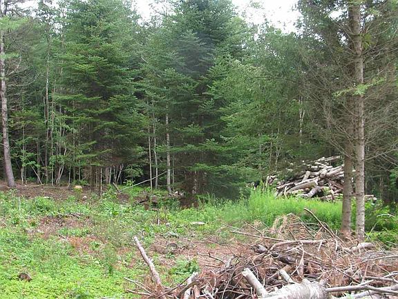 5th image of 556 County Highway 125