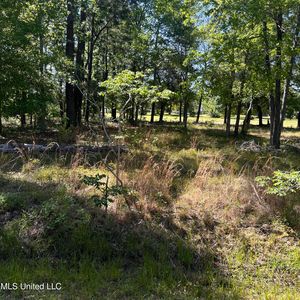 LOT 10 Poinsetta Loop Lot 10, Pass Christian, MS, 39571