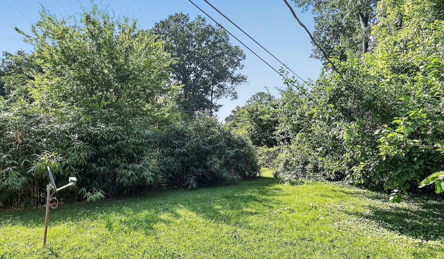 5610 Spring Garden Lane — Photo 4
