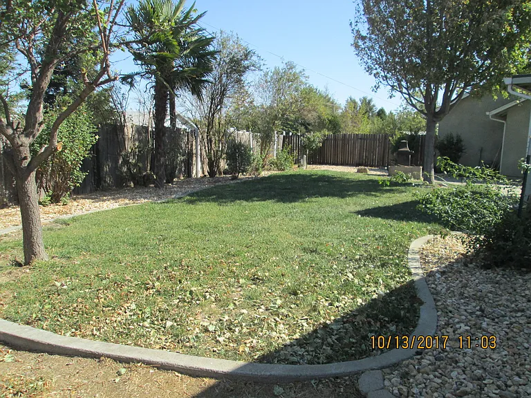 5313 Elmira Rd — Photo 3