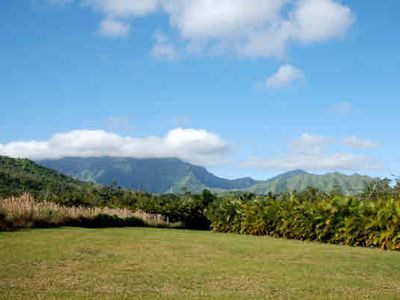 Halaulani Rd, Kilauea, HI, 96754