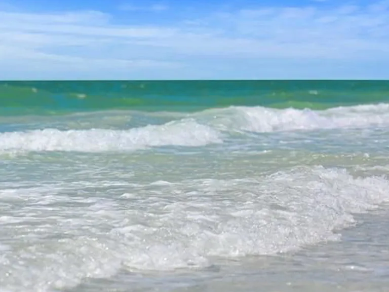 S Moonmist Court Siesta Key Fl 34242 — Photo 6