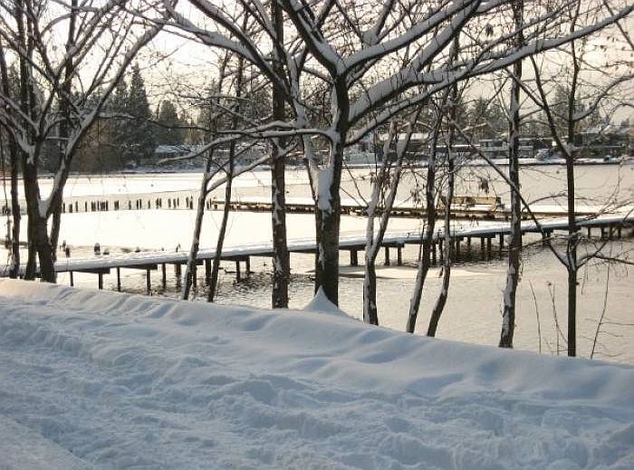 Winter on Surprise Lake