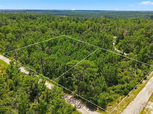 0 LANIER (LOT 2) AVENUE LOT 9, BROOKSVILLE, FL 34604