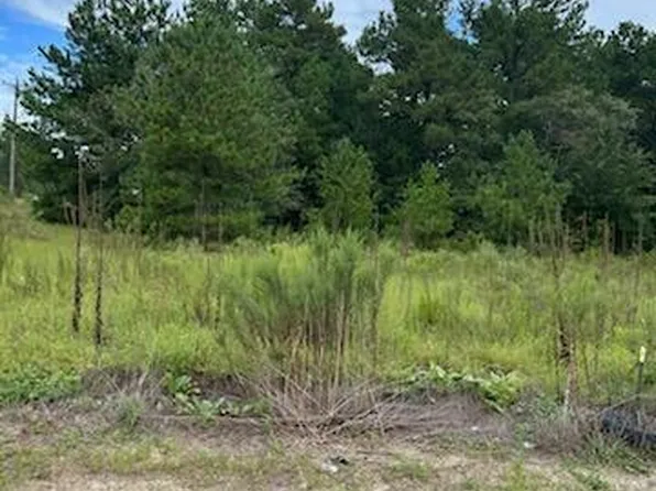 107 Peachview Drive, Hamlet, NC 28345