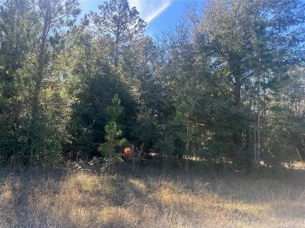 (undisclosed Address), Alachua, FL 32615