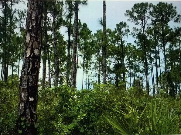  41st AVE NE, NAPLES, FL 34120