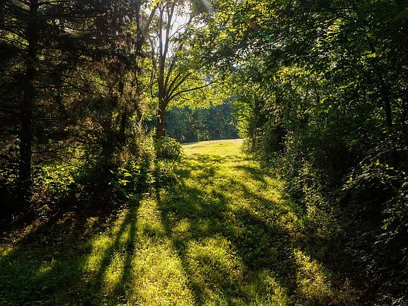 29th image of 7365 Coldwater Rd