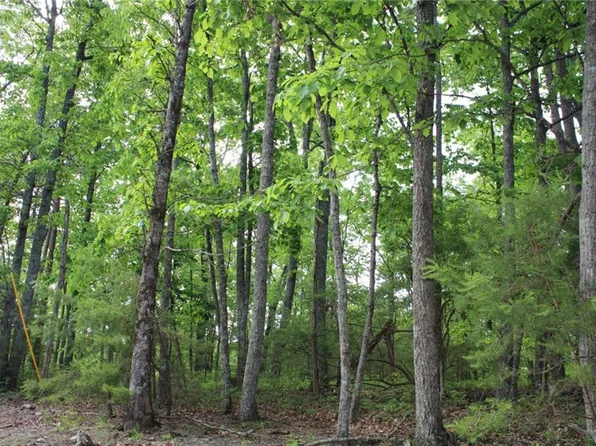 1427 Jasper Ct NE #1427, Ranger, GA 30734