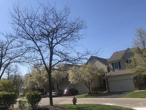 5th image of 38478 Lynwood Ct #1