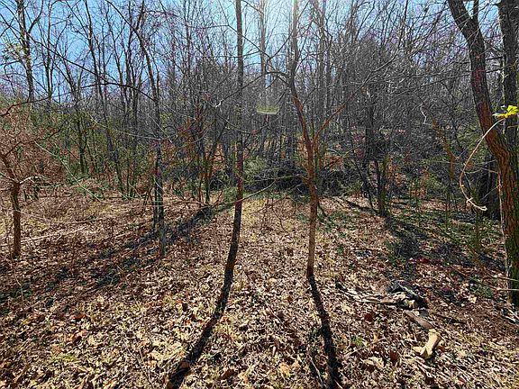 4th image of 0 Dunfee Rd