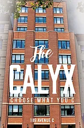 Sold by Nest Seekers International