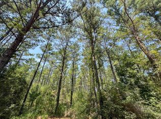 2 County Road 3230, Colmesneil, TX 75938