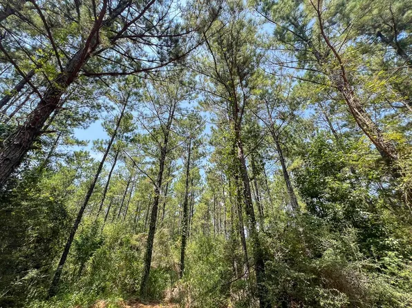 6 County Road 3230, Colmesneil, TX 75938