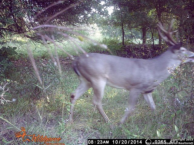 1st image of 76 Winslow Turner