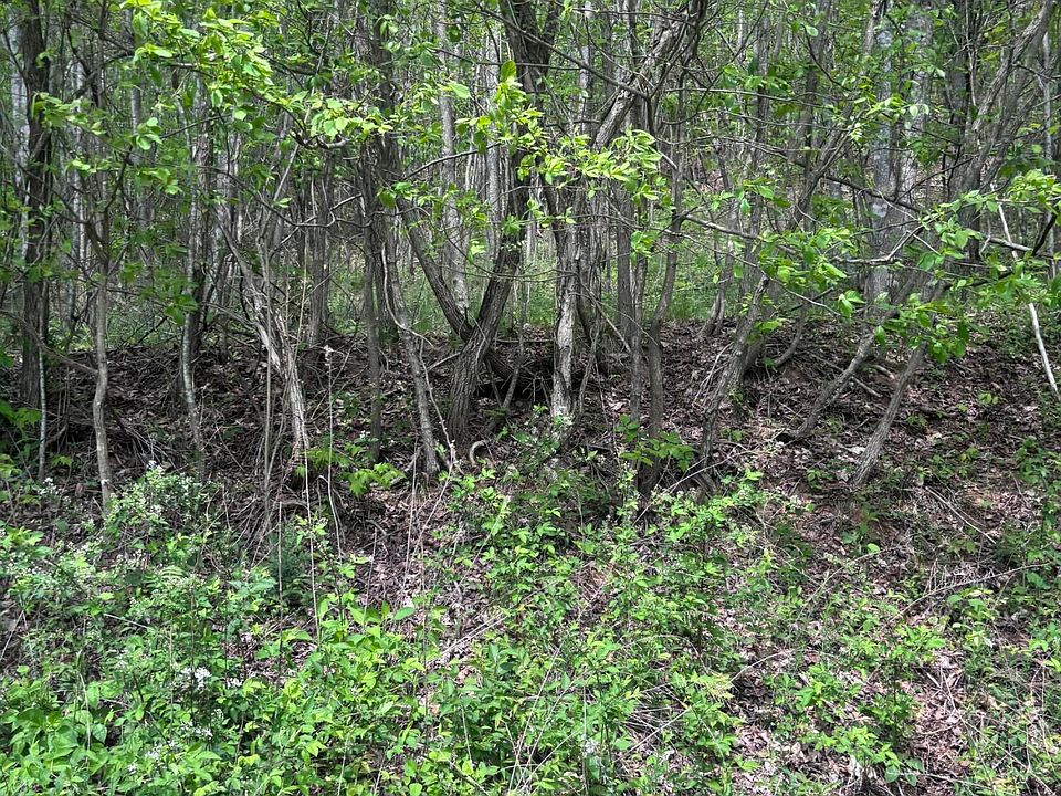 1st image of Chimney Rock Rd