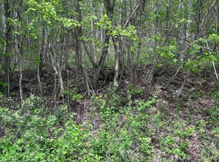 Chimney Rock Rd, New Tazewell, TN 37825