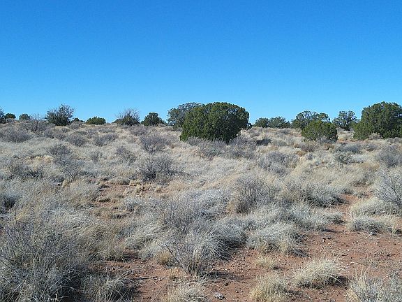 4th image of 8652 Johnson S Hill Trl