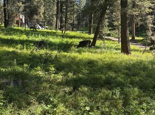 4121 Spruce Cir, Island Park, ID 83429